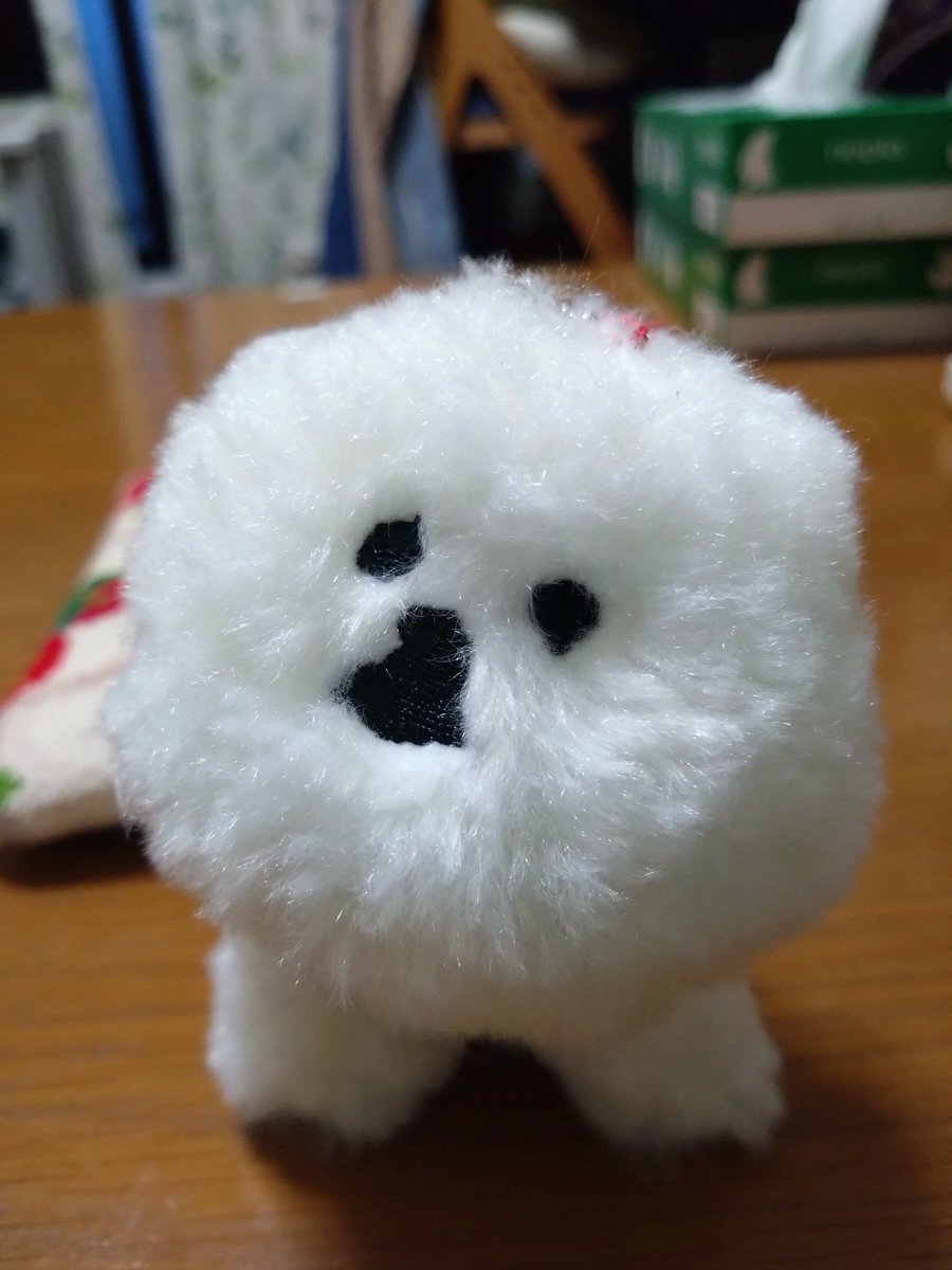 yamamotofujino's tweet photo. 見る角度によって表情が変わります😆ちょっと傾いているので話をよく聞いてくれそう〜さわり心地もよくてふわふわだよ🫱🫲
#CLASKA #MAMBO
#塩川いづみ さん https://t.co/ORgCwkMHod