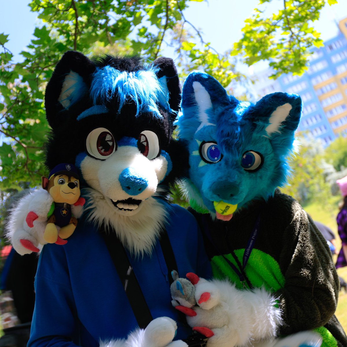 💙💚Just a shiny husky day☀️huusk huusk💚💙Look at this cutie 👉 👈<a href="/RapidtheHusky/">Rapid</a>
📷<a href="/DerooShep/">Deroo</a>
🧵<a href="/Bambilijas/">Bambilijas</a>
#happyfursuitfriday
#furry #furryfandom #furries #furbaby #furry2024 #furrycommunity #furryfriends #furryfriend #furrsuit #furrywalk #furryadoptable #furryhusky #furryczsk