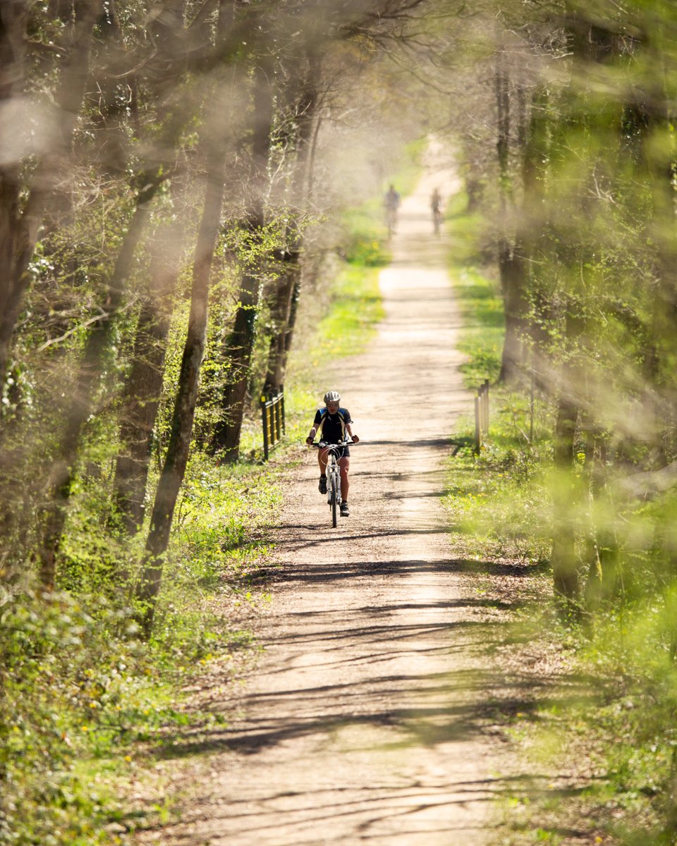 📝 Apúntate este plan: ¡la Gran Ruta Cicloturista por Llanada Alavesa!

📝 Gorde ezazu plan hau: Arabako Lautadako Ibilbide Zikloturista Handia!

📍<a href="/Lautur1/">ArabakoLautada</a>