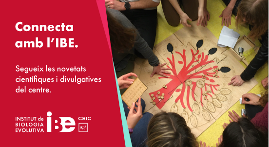IBE_Barcelona's tweet image. 🏖️ Aquest estiu #connecta amb l'@IBE_Barcelona 😎

Ben aviat arriba el butlletí trimestral de l'#IBE amb les últimes novetats en #BiologiaEvolutiva, #biodiversitat, #conservació i molt més.🦎🧬🦋  Enregistra't per rebre la teva! 📩

✍️ bit.ly/3BXJJS5