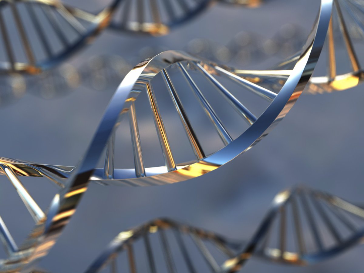 When we collect DNA samples.
We explain the testing process.
We explain how the result is read.
We educate on the type of DNA that you would want to do.
We want you to get tested knowing exactly what you would be doing and the possible outcomes of the test.
CALL/APP 0773 271 112