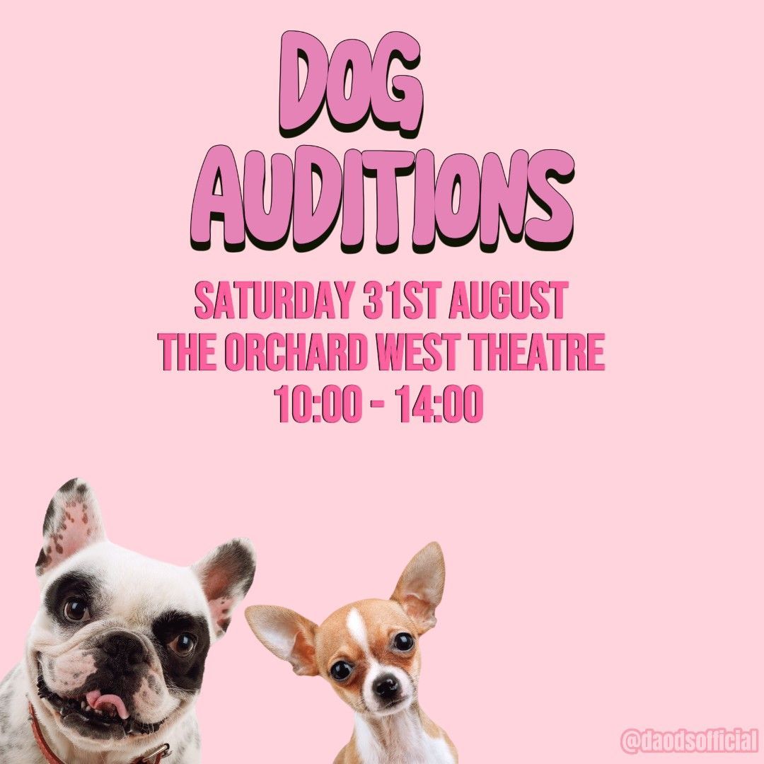 dartfordliving's tweet image. Could your dog be a star? DAODS are on the hunt for a Bruiser Woods &amp;amp; a Rufus to star in Legally Blonde this October.  Auditions will be held at Orchard West on Sat 31 August 10am – 2pm. For more information &amp;amp; to register go to: buff.ly/4cypk9z