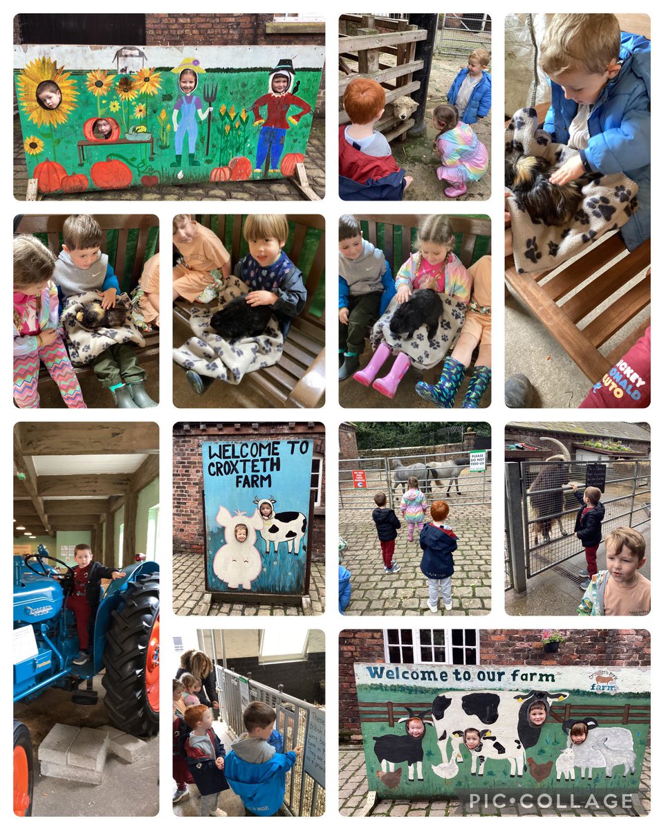 Butterfly Class tweet media