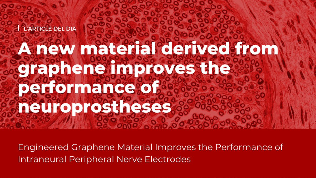Institut de Neurociències UAB (@inc_uab) on Twitter photo #articledeldia
A study coordinated by Dr @xaviernavarro8, in collab with <a href="/icn2nano/">Catalan Institute of Nanoscience & Nanotechnology</a>, demonstrates how EGNITE allows the creation of electrodes small enough to interact selectively with the nerves they stimulate, improving the efficacy of neuroprostheses onlinelibrary.wiley.com/doi/10.1002/ad… #articledeldia
A study coordinated by Dr @xaviernavarro8, in collab with <a href="/icn2nano/">Catalan Institute of Nanoscience & Nanotechnology</a>, demonstrates how EGNITE allows the creation of electrodes small enough to interact selectively with the nerves they stimulate, improving the efficacy of neuroprostheses onlinelibrary.wiley.com/doi/10.1002/ad…