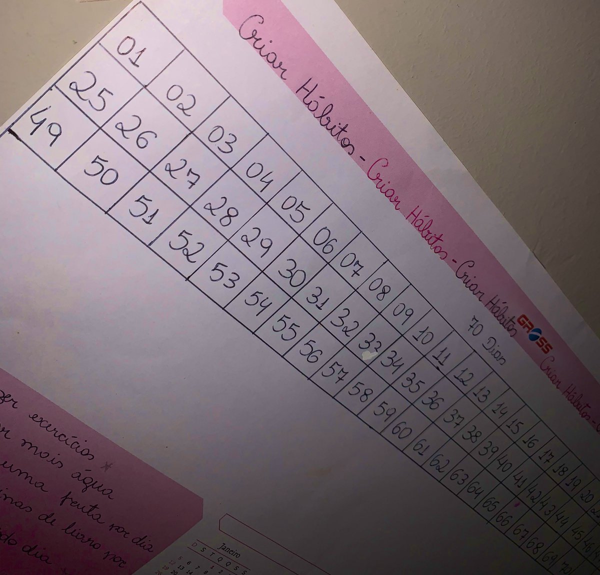 iristarcila's tweet photo. Hoje eu vou iniciar uma tentativa de mudanças/criação de hábitos diferentes pra minha vida. Vamos de dia 1, e eu fiz uma tabelinha pra dar check e meu cérebro ir se sentindo recompensado e me ajudar mais rápido nessa saga. Deus me ajude https://t.co/ZJ4BHhJsfY