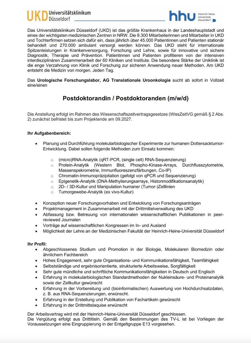 DanNett1980's tweet photo. Dear all, we are looking for a #PostDoc in our lab (3 yrs, asap, full-time E13) who is interested in analyzing the molecular and epigenetic mechanisms of yolk-sac tumor formation and related therapy resistance.
@MaGIC_GCT
@DGUrologie 
@UroFors_DGU 
@UniklinikDUS 
@HHU_de https://t.co/SFx6vzb5Kq