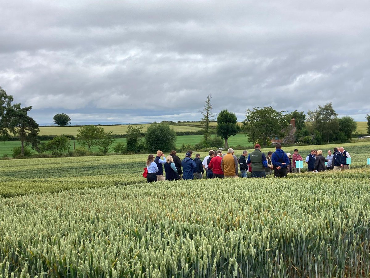 FrontierAg's tweet image. 1/ Last week we had a fantastic time at our #3DThinking open days in #Stokesley, #Herefordshire &amp;amp; #Topcliffe. 

It's been great to hear farmers' experiences from this season first hand and to be able to provide advice tailored to their specific situation. 

Read on for more...
