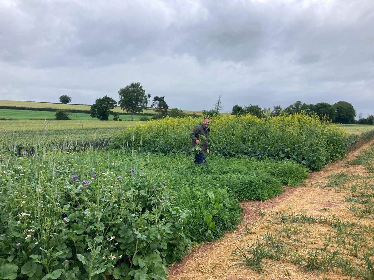FrontierAg's tweet image. 4/ Also in #Herefordshire, @Kingscrops technical advisor, Will Pratt, discussed the key mixtures that are compliant with SFI schemes, highlighting the benefits they can bring to farms and management required.