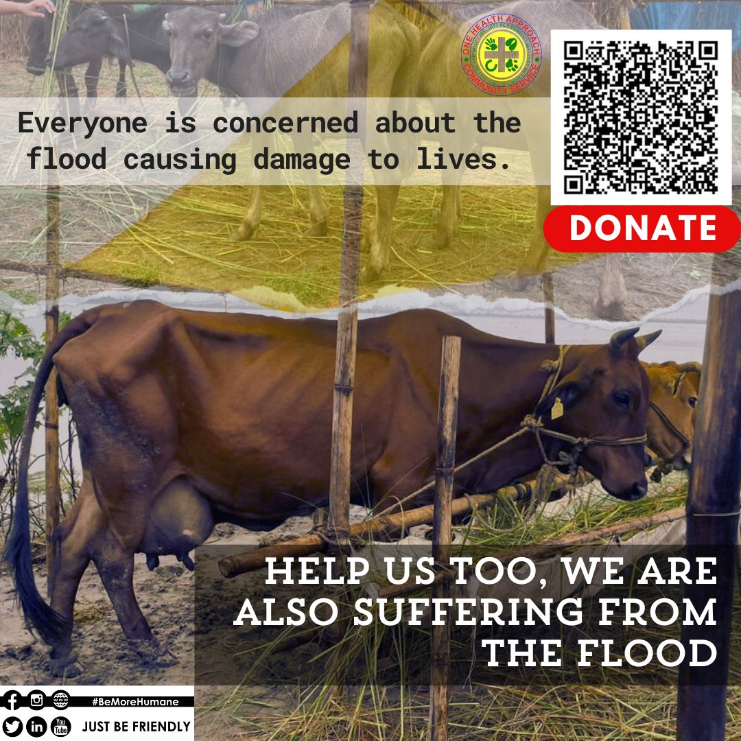 JustBFriendly's tweet photo. JBF is planning the post-flood relief  for the animals suffering from the flood
Contribute your bid for the camp at https://t.co/fq77pvsxym
We need your support, they need your support. Please help us to help them.
#assamflood2024 #AssamFlood #DisasterRelief #disastercamp https://t.co/8cR7fDn2rk