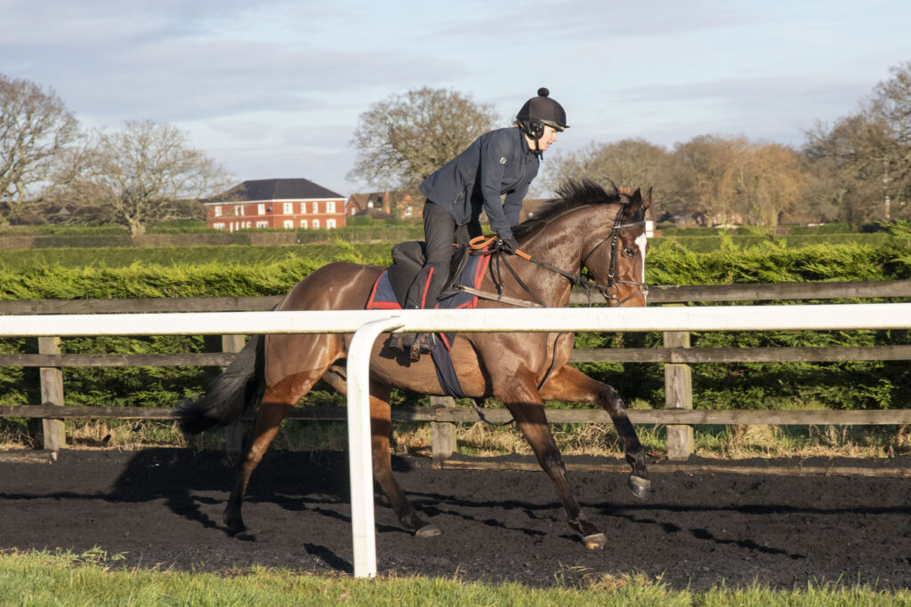 Ian Williams Racing (@ianwilliamsraci) on Twitter photo Our 5th runner today comes <a href="/Ascot/">Ascot Racecourse</a> in the 5.40 event - Ivasecret for Brendan Doorly runs in the <a href="/propertyraceday/">TheProperty Race Day</a> Charity Race in aid of <a href="/LandAid/">LandAid</a> with the intrepid <a href="/mytentoryours/">Michael Andrews</a> taking the ride!
Good luck, Michael and enjoy the experience!! Our 5th runner today comes <a href="/Ascot/">Ascot Racecourse</a> in the 5.40 event - Ivasecret for Brendan Doorly runs in the <a href="/propertyraceday/">TheProperty Race Day</a> Charity Race in aid of <a href="/LandAid/">LandAid</a> with the intrepid <a href="/mytentoryours/">Michael Andrews</a> taking the ride!
Good luck, Michael and enjoy the experience!!