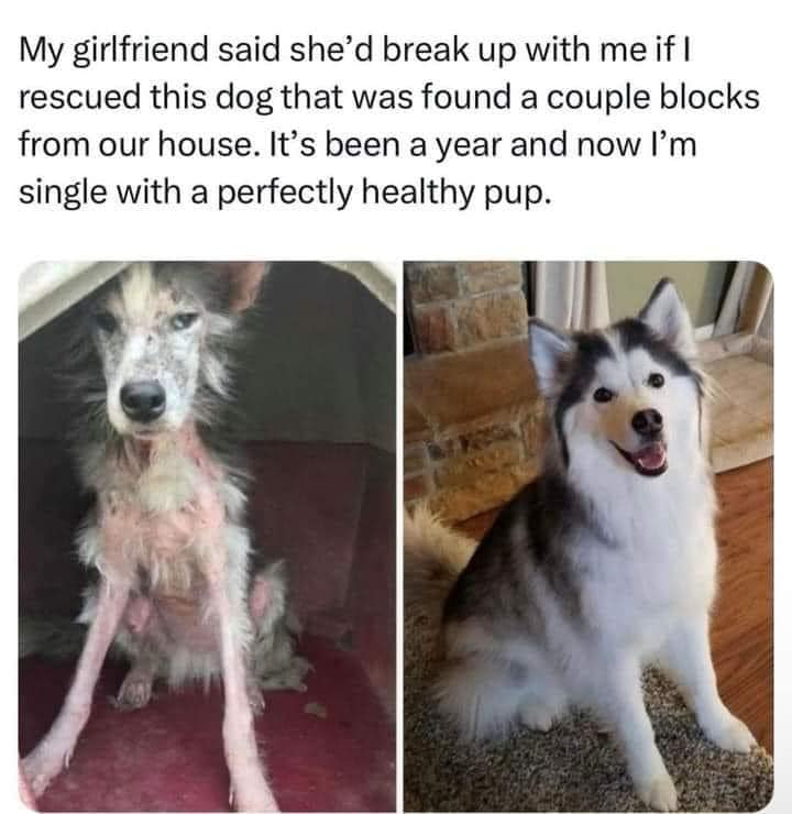 Beyond_theleash's tweet image. 