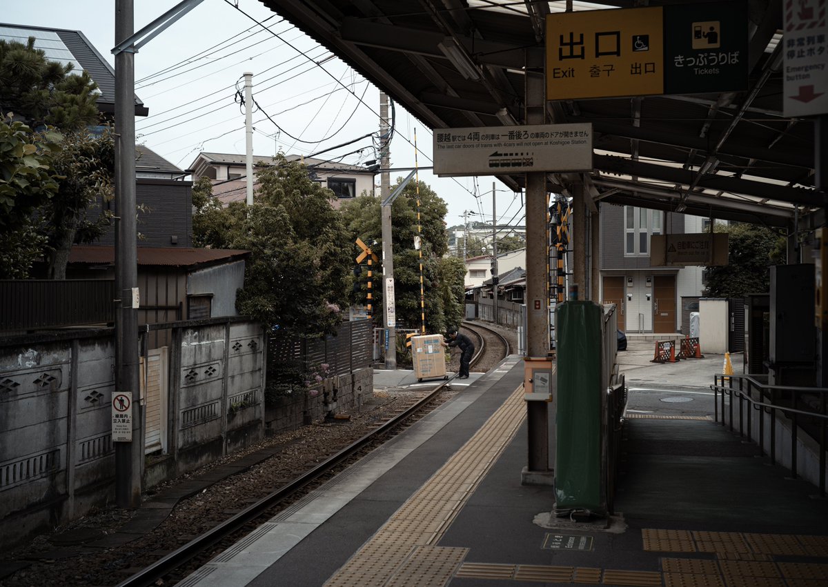 Domon tweet media