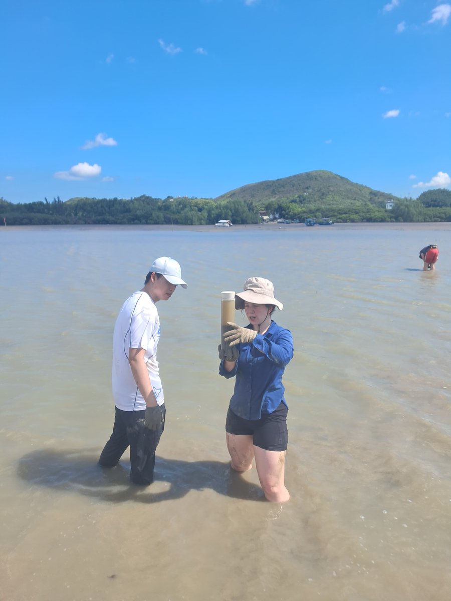 Marine Futures Lab tweet media