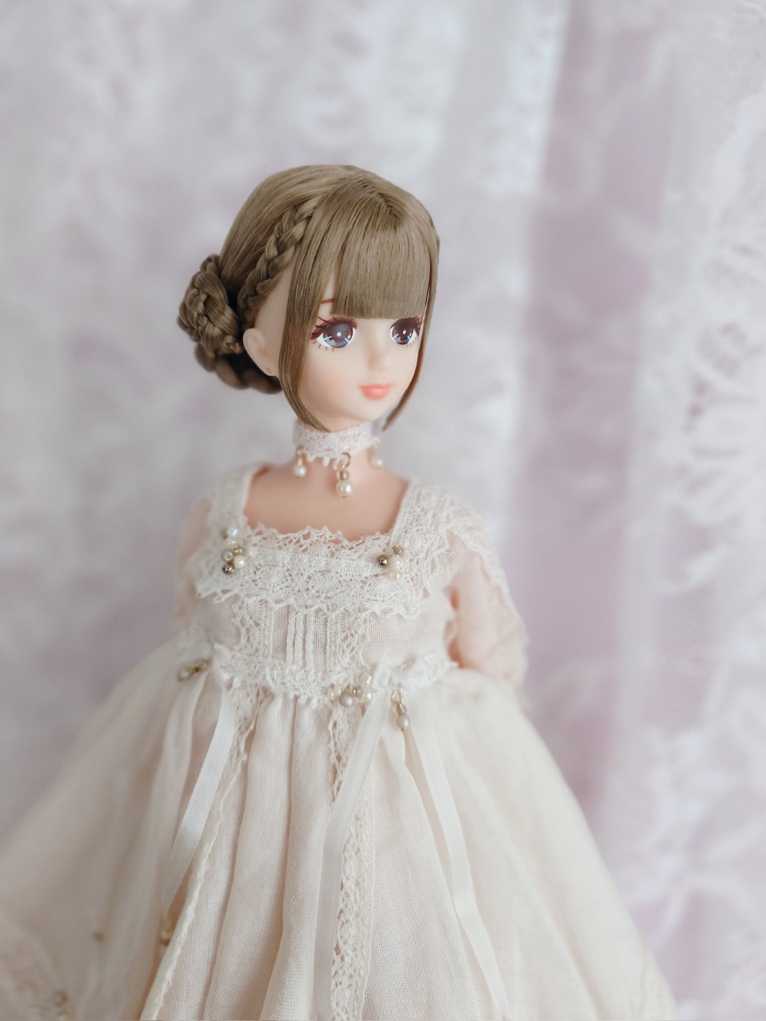 【add】ビカクシダセット　ジェニー　OMG　など＋リドレイ10株 ビカクシダ セット ジェニー OMG リドレイ add】ビカクシダセット