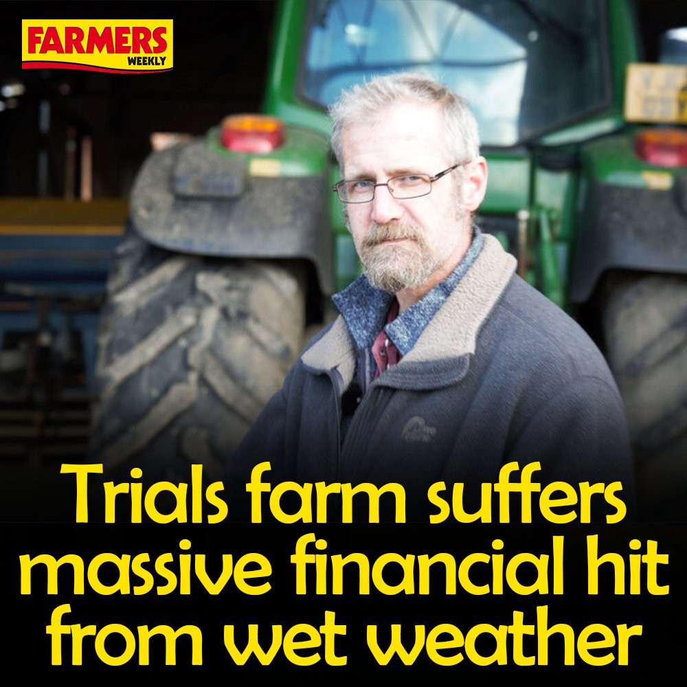 Farmers Weekly (@farmersweekly) on Twitter photo 🌧️A grower hosting <a href="/TheAHDB/">AHDB</a> trials estimates this season’s wet weather could cost him £80,000 in lost income...
READ MORE: fwi.co.uk/arable/land-pr… 🌧️A grower hosting <a href="/TheAHDB/">AHDB</a> trials estimates this season’s wet weather could cost him £80,000 in lost income...
READ MORE: fwi.co.uk/arable/land-pr…