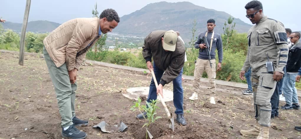 #Tigray aimed to plant 31 million seedlings (26 million forest, 2.5 million agroforestry, 1 million fruit, and 0.9 million ornamental seedlings) across 480 different sites by engaging 1.1 million people in 51 districts. So far, 4.1 million seedlings have been planted. 
#BBBTigray