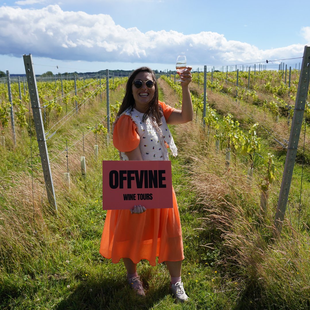 margatemercury's tweet photo. Offvine is a new breed of wine tour, taking people to the best independent vineyards in Kent for more than a taste, with travel (collection and drop off at designated station) included in the ticket price

1/4 https://t.co/pUHOYHrcye