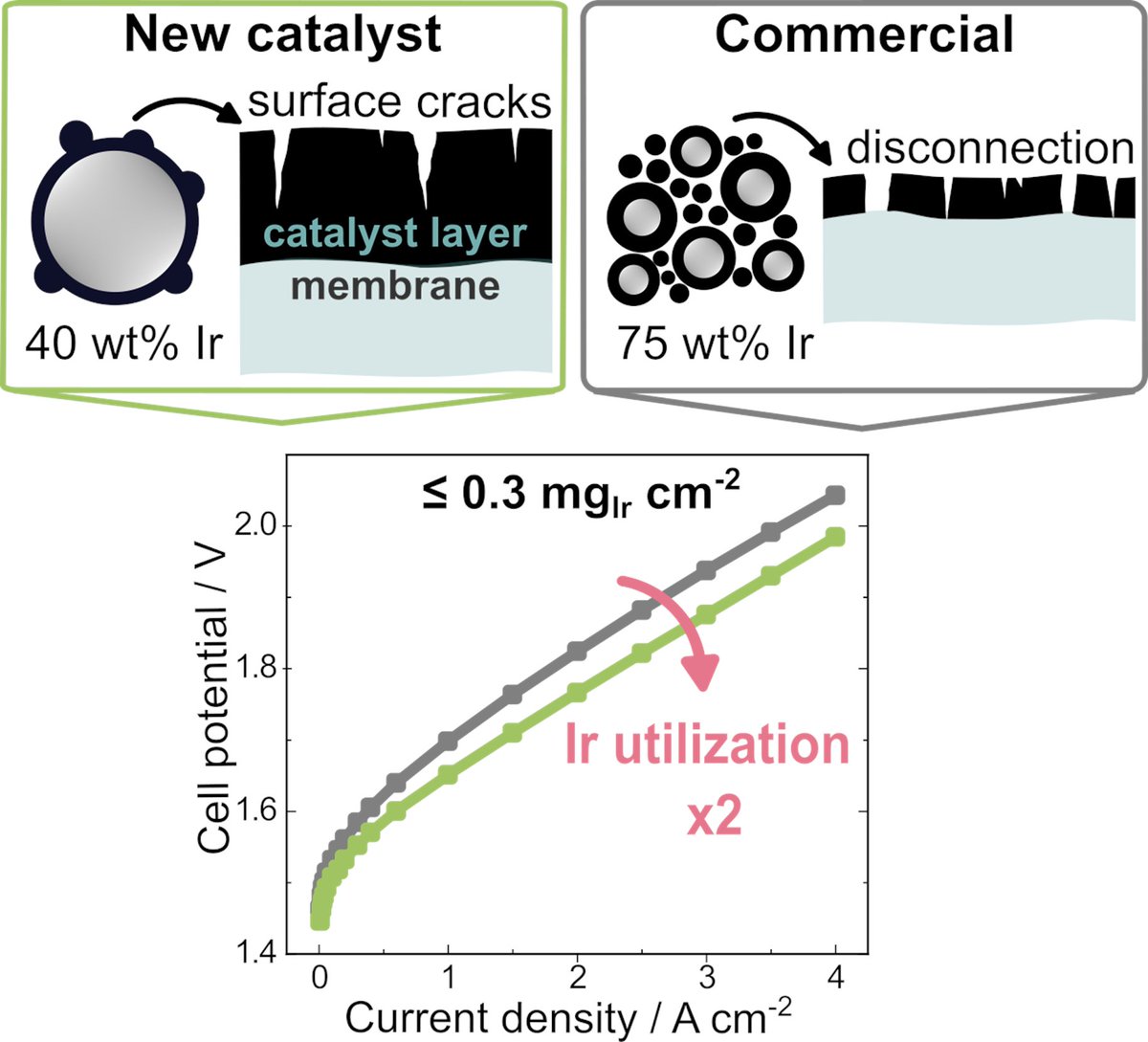 Researchers have developed a new catalyst that allows a reduction in the amount of iridium required in a #PEMWE cell. This can reduce the costs of the promising PEMWE technology for producing #hydrogen  and accelerate its large-scale implementation.➡️  go.fzj.de/wBT8f