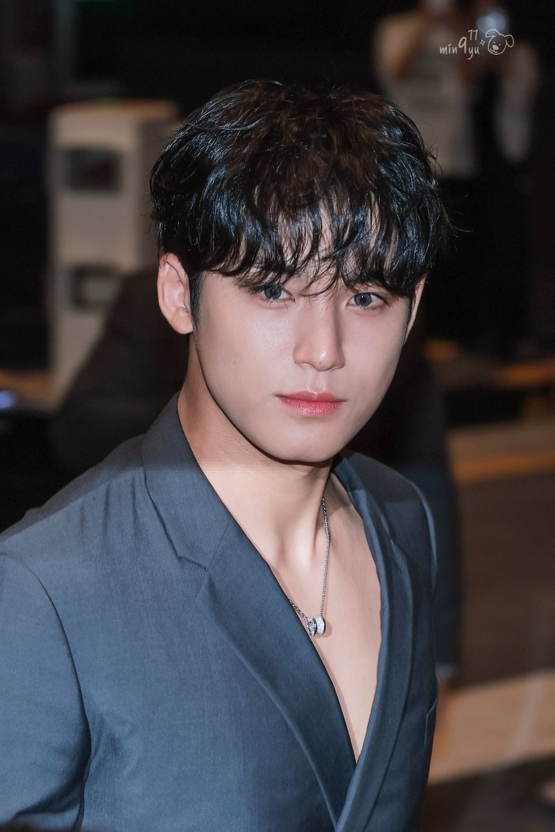 mingyu pics tweet media