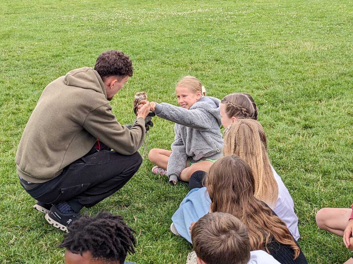 CarrJuniorYork's tweet photo. Year 4 getting back to nature with a visit from some owls! #curious #shinefest #carrstars https://t.co/hh31aZDHnv