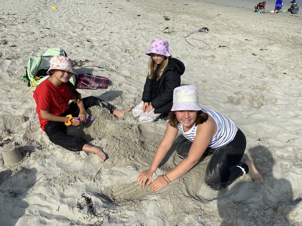 La Mare Primary tweet media