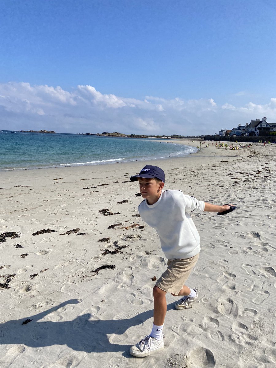 La Mare Primary tweet media