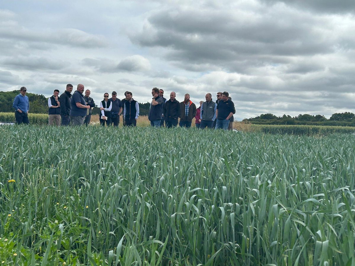 Sentry (@sentryltd) on Twitter photo Our 20 farm managers recently participated in agronomy training, visiting numerous trial sites with our fantastic partners, <a href="/AgrovistaUK/">Agrovista UK</a>, <a href="/AgriiUK/">Agrii</a>, and <a href="/KWSUKLtd/">KWS UK Ltd</a> . This hands-on experience focused on the latest best practices to ensure exceptional crop management & optimal yields Our 20 farm managers recently participated in agronomy training, visiting numerous trial sites with our fantastic partners, <a href="/AgrovistaUK/">Agrovista UK</a>, <a href="/AgriiUK/">Agrii</a>, and <a href="/KWSUKLtd/">KWS UK Ltd</a> . This hands-on experience focused on the latest best practices to ensure exceptional crop management & optimal yields