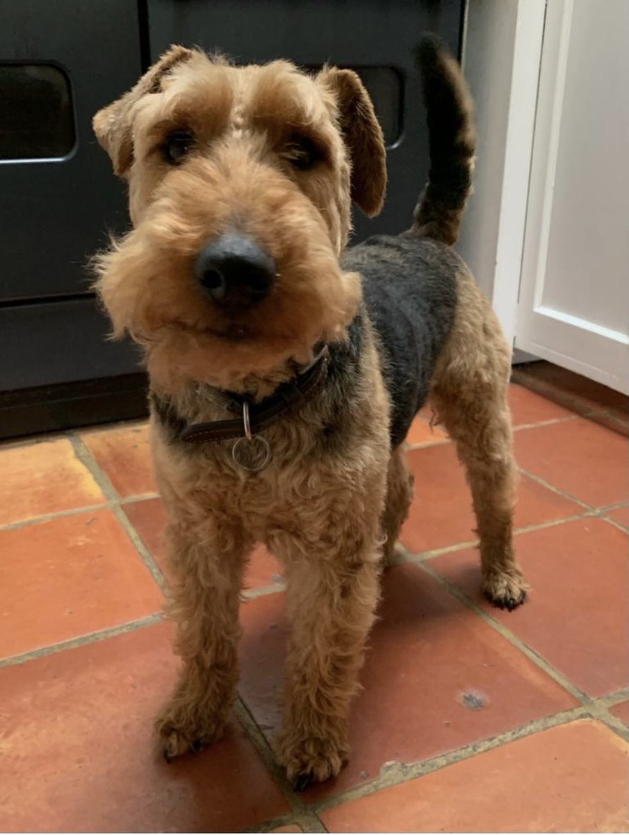 Sophie Hannah tweet media