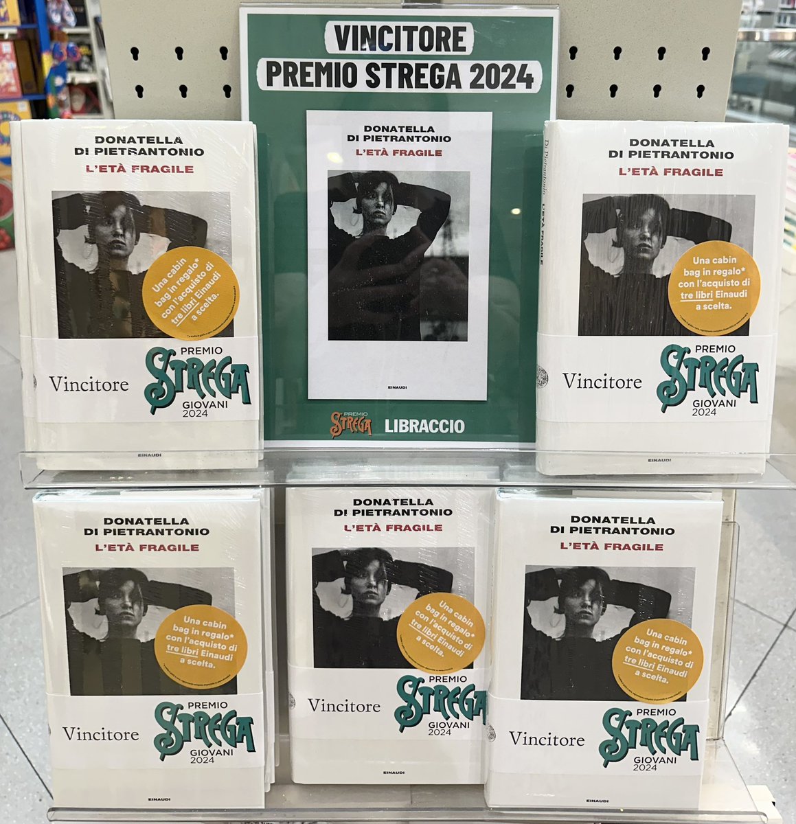 “The Brittle Years”, by Donatella Di Pietrantonio, winner of the 2024 Strega Prize. Out in English in 2025 translated by my brilliant friend Ann Goldstein <a href="/EuropaEditions/">Europa Editions</a> <a href="/EuropaEdUK/">Europa Editions UK</a> <a href="/reynoldsmichael/">Michael Reynolds</a> <a href="/evaetcetc/">Eva Ferri</a> #LEtàFragile #DonatellaDiPietrantonio #PremioStrega2024