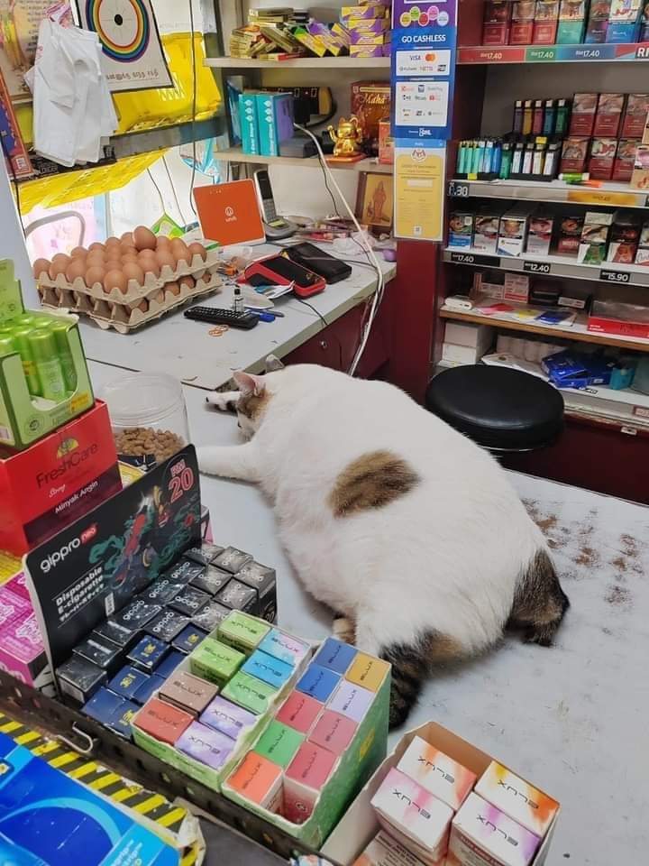 ulat_bulu_bulu's tweet photo. Jualan melepasi kpi harian, juruwang terus tidur tak layan pelanggan. https://t.co/Chac6dJjvi