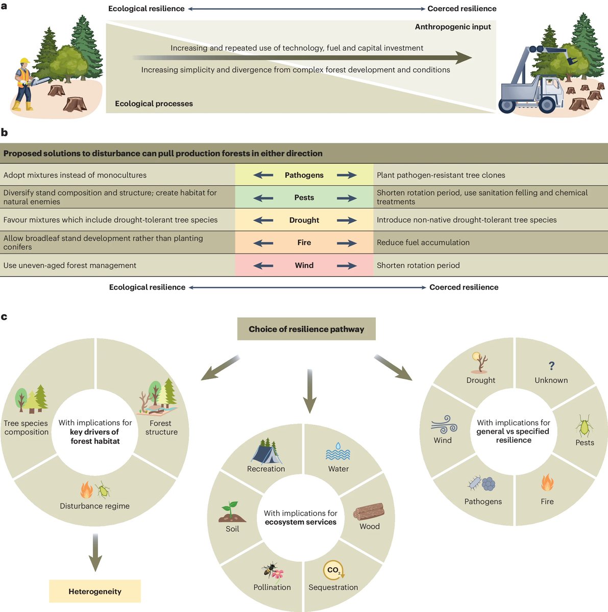 Rupert Seidl (@rupertseidl) on Twitter photo Whether we achieve resilience in production forests via coerced or ecological resilience matters for biodiversity and ecosystem service provisioning. New perspective on an important topic by Felton et al., out now in <a href="/NatureEcoEvo/">NatureEcoEvo</a>. Link: nature.com/articles/s4155⦠Whether we achieve resilience in production forests via coerced or ecological resilience matters for biodiversity and ecosystem service provisioning. New perspective on an important topic by Felton et al., out now in <a href="/NatureEcoEvo/">NatureEcoEvo</a>. Link: nature.com/articles/s4155ā¦