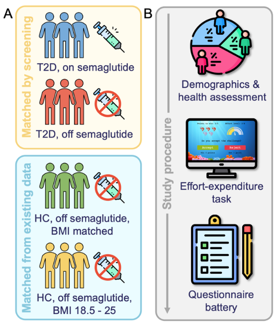 Camilla Nord (@camillalnord) on Twitter photo We thought effort-based decision-making could be one common signature. <a href="/MehrhofSara/">Sara Mehrhof</a> & <a href="/HugoFleming_/">Hugo Fleming</a>'s new preprint meticulously matched 102 patients with type 2 diabetes (on&off semaglutide, AKA Ozempic) with 106 non-diabetic controls, covering a diverse range of metabolic health We thought effort-based decision-making could be one common signature. <a href="/MehrhofSara/">Sara Mehrhof</a> & <a href="/HugoFleming_/">Hugo Fleming</a>'s new preprint meticulously matched 102 patients with type 2 diabetes (on&off semaglutide, AKA Ozempic) with 106 non-diabetic controls, covering a diverse range of metabolic health