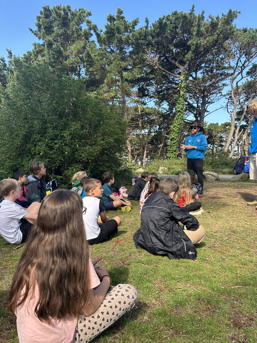 La Mare Primary tweet media