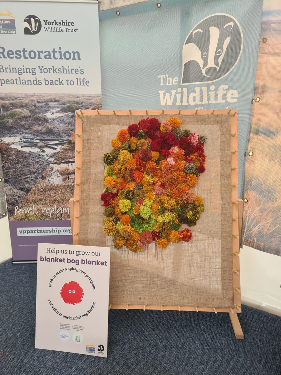 Our #BlanketBog blanket has seen some amazing progress this week <a href="/greatyorkshow/">Great Yorkshire Show</a> 🌱

Thank you to everyone who has been along to help 💚

We’re here today at stand 434 if you’d like to make your own contribution! 

#GreatNorthBog #GYS <a href="/YorksWildlife/">Yorkshire Wildlife Trust - follow us on Bluesky 🦋</a>