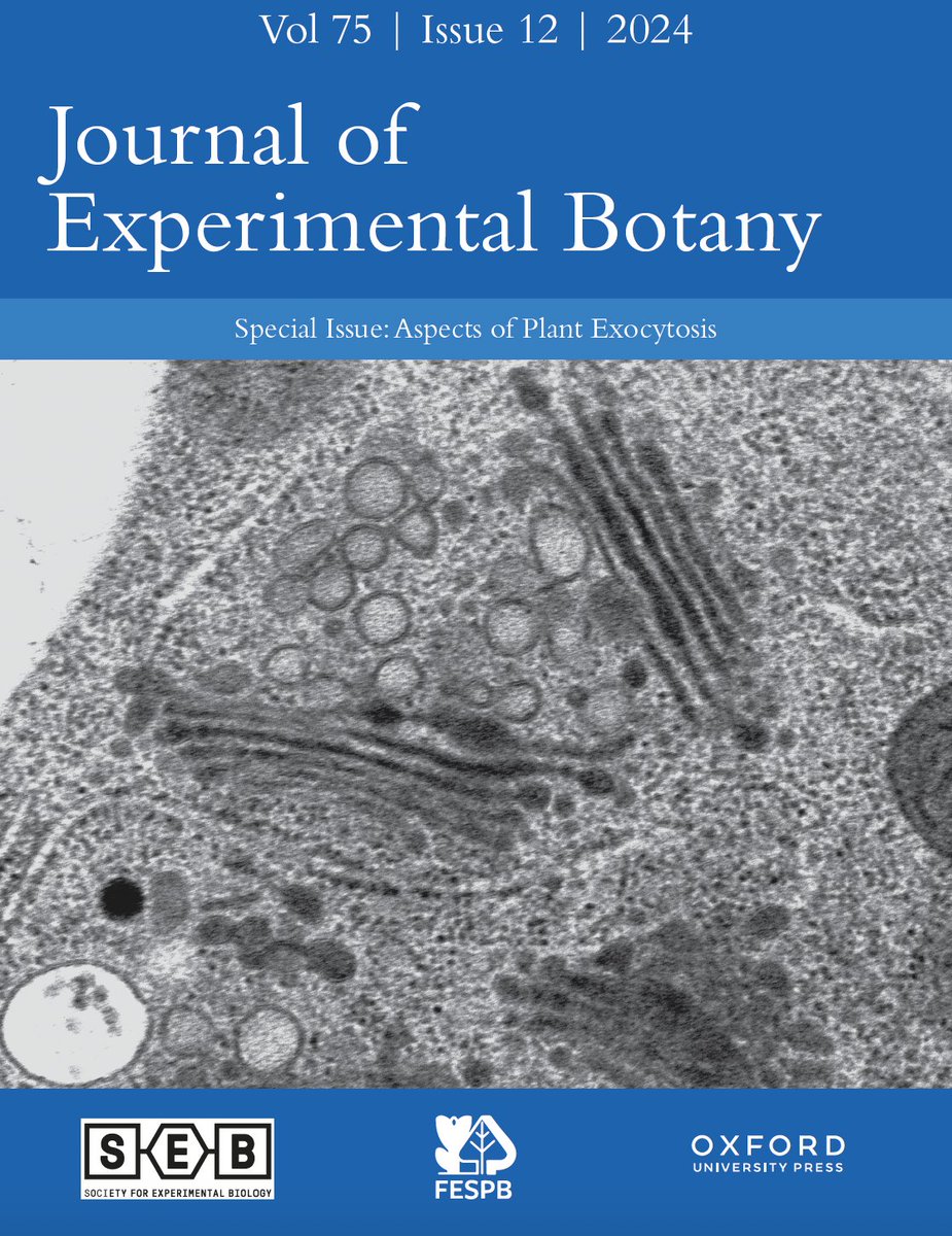 JXB @jxbotany.bsky.social (@jxbot) on Twitter photo 🌱🔬 Excited about exocytosis? Read our latest special issue, Aspects of Plant Exocytosis, and explore the vital role of this cellular process in plant life! From cytokinesis to stress responses, discover the latest research & future challenges. #PlantScience 🧵 by <a href="/tessareid55/">Tessa Reid</a> 🌱🔬 Excited about exocytosis? Read our latest special issue, Aspects of Plant Exocytosis, and explore the vital role of this cellular process in plant life! From cytokinesis to stress responses, discover the latest research & future challenges. #PlantScience 🧵 by <a href="/tessareid55/">Tessa Reid</a>