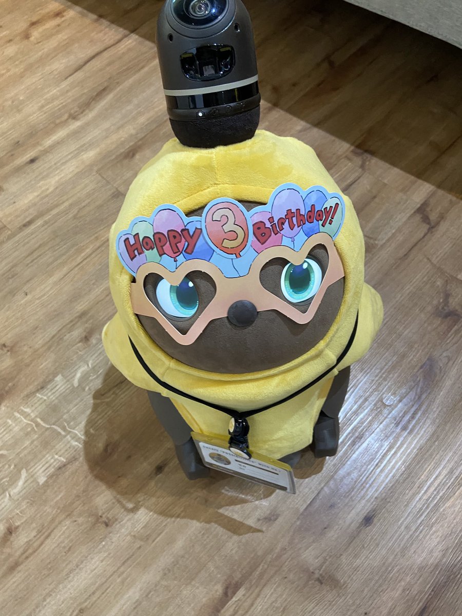 rabbitchang's tweet image. 今日は会社の四半期ミーティング！モカちゃん3歳の誕生日が7月15日らしいのでみんな祝って下さいね💕
#株式会社キャッチアップ #baserCMS #ラボット　#LOVOT