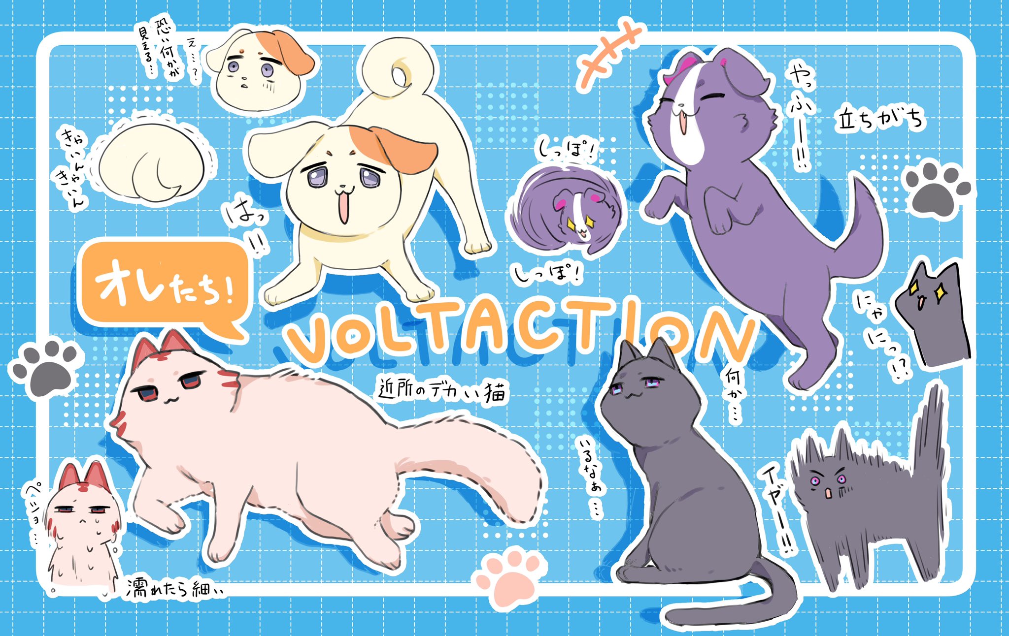 ★イヌネコ Pet好き★ サングラスわんこ🕶️✨ さつきちゃん編🐶💗 Cool sunglasses