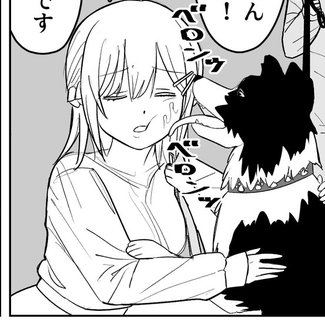 これ見どころです 