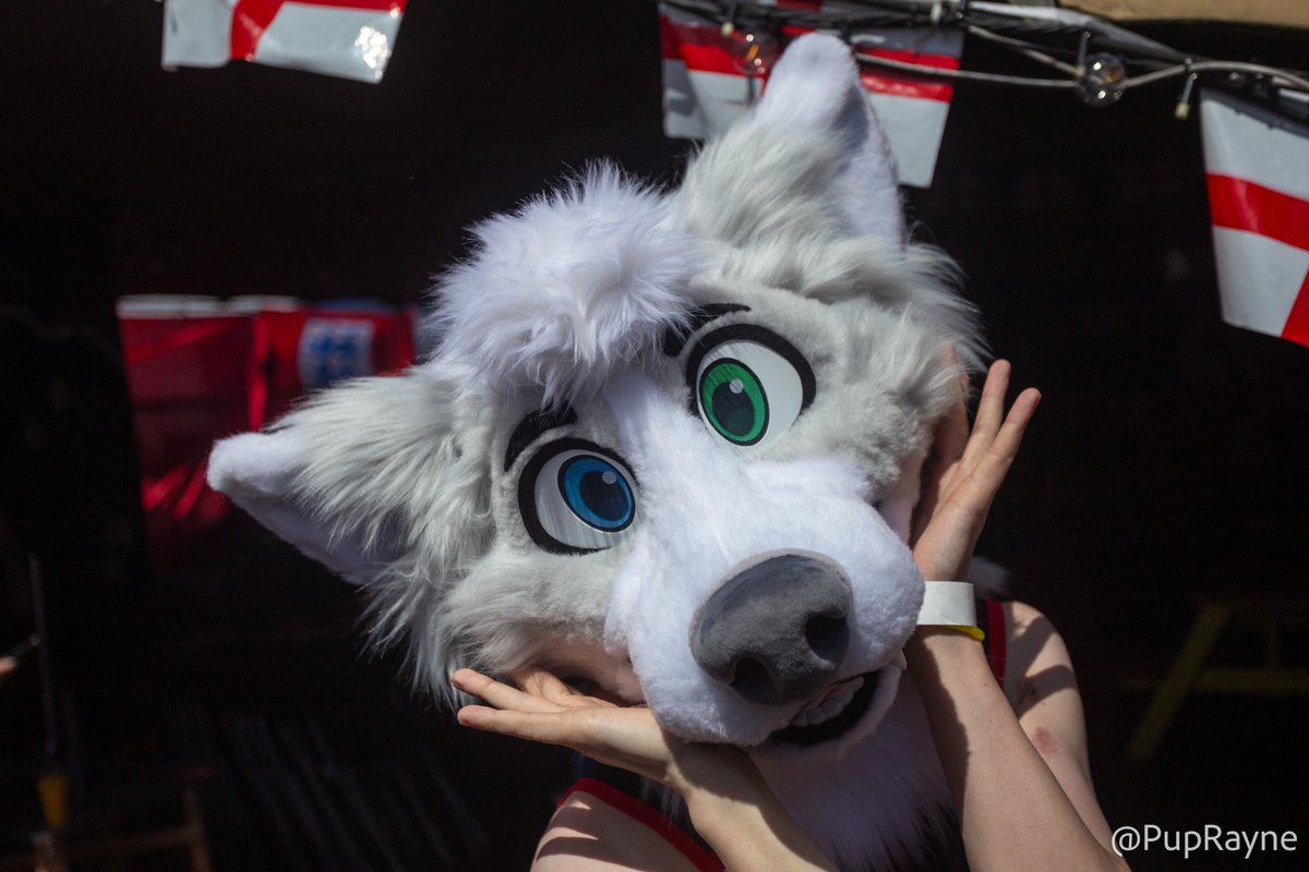 Wolf Pupper Nero 🔜 Mutt Hutt, Mucky 🐶 (@pupnerowolf) on Twitter photo Some more photos of mucky pups weekend <a href="/MuckyPupsBriz/">🔞 🐾 Mucky Pups 🐾 🔞</a> with some of the most beautiful and amazing pups I’ve come to know and adore!😍🥰 <a href="/PupKage/">PupKage</a> <a href="/PaddedPupCj/">PupCj</a> <a href="/TrixThePup/">Trix 🔜 Animalz | CFZ</a> <a href="/brolypup/">brolythepup🔜kk, collard, mucky pups, animalz🐶</a> <a href="/thepupmarco/">Marco - chaos dog</a> & more cuties ! Tag a pup if you know em below! 👇 Some more photos of mucky pups weekend <a href="/MuckyPupsBriz/">🔞 🐾 Mucky Pups 🐾 🔞</a> with some of the most beautiful and amazing pups I’ve come to know and adore!😍🥰 <a href="/PupKage/">PupKage</a> <a href="/PaddedPupCj/">PupCj</a> <a href="/TrixThePup/">Trix 🔜 Animalz | CFZ</a> <a href="/brolypup/">brolythepup🔜kk, collard, mucky pups, animalz🐶</a> <a href="/thepupmarco/">Marco - chaos dog</a> & more cuties ! Tag a pup if you know em below! 👇