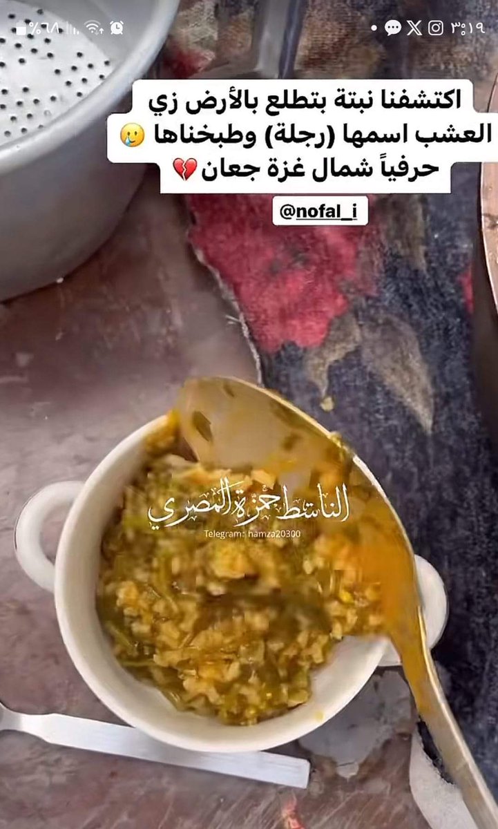 بعد سنة حرب ومجاعة حتى مجبورين أكلوا الرجلة ..
ونحن بنقدمها في الأعراس والمناسبات .

ولمن نقول المطبخ السوداني أكل أزمات ينطوا يقول أكلنا مافي زيو وعاك عيك عوك