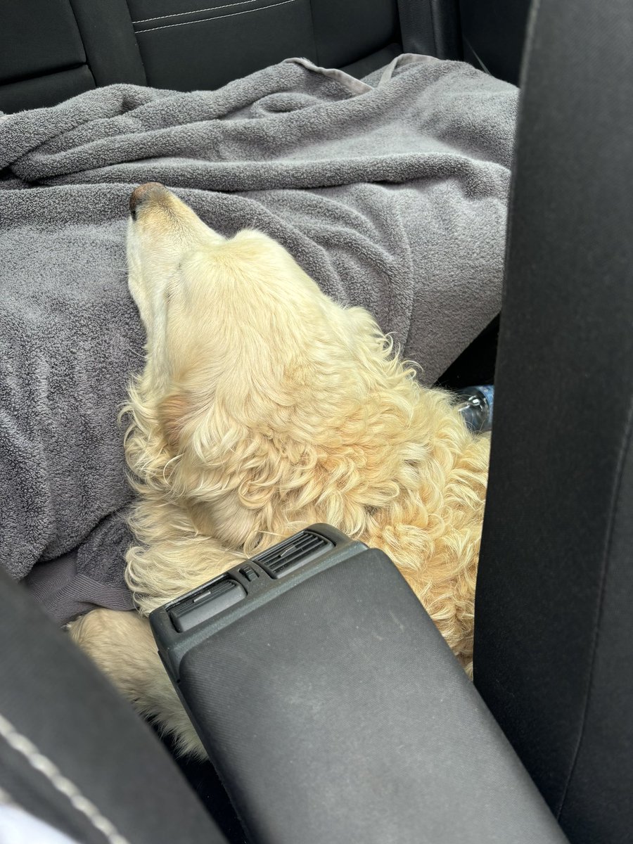 Máiréad Quinn 👩🏻‍🔬 tweet media