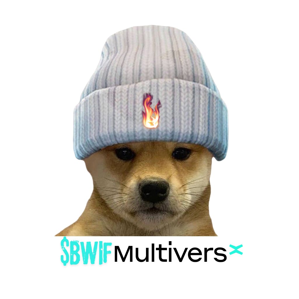 BWIFmvx's tweet photo. Breaking! 🚨

$BWIF The first #meme token with included utility from #MultiversX , this summer comes with many surprises only on @jeetdexcom

join telegram &amp; share for all friends to hear 🔥 https://t.co/r57P4DRHui