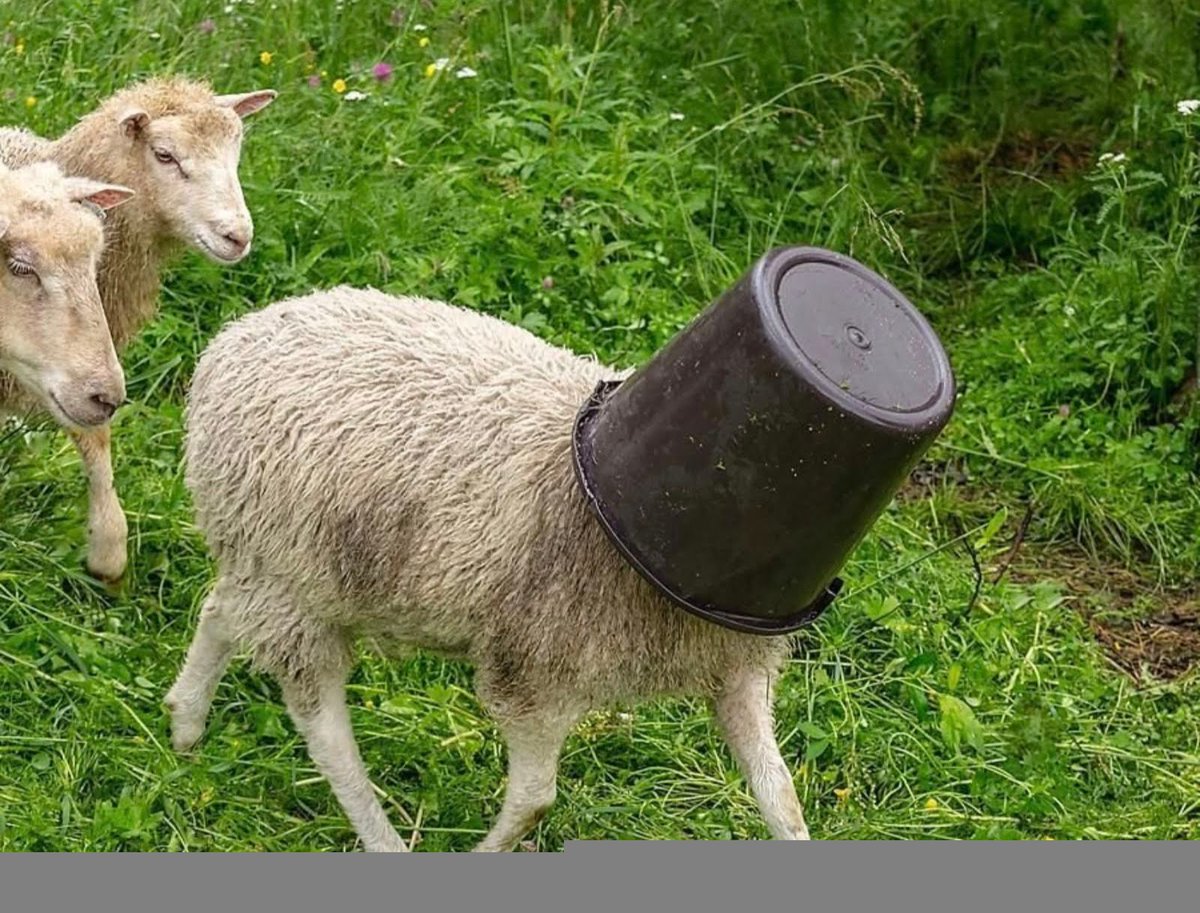 Marja-Leena f.d Nyberg 🇫🇮🇸🇪 tweet media