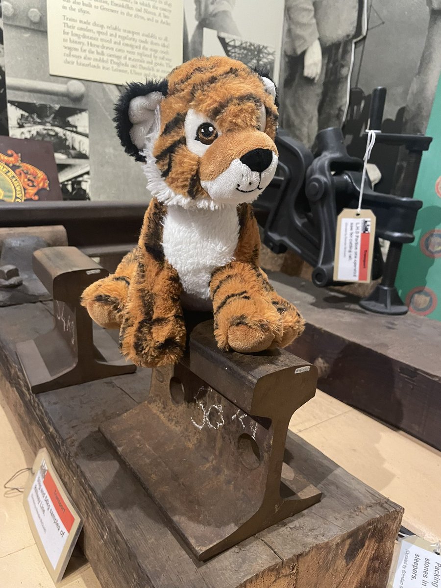 This cuddly tiger was left behind by his owner during a visit to the Museum yesterday (Thursday July 11).  If anyone knows whose its owner is could you let them know we have here it at Reception awaiting collection. Thank you! #dundalkmuseum #countymuseumdundalk #losttiger