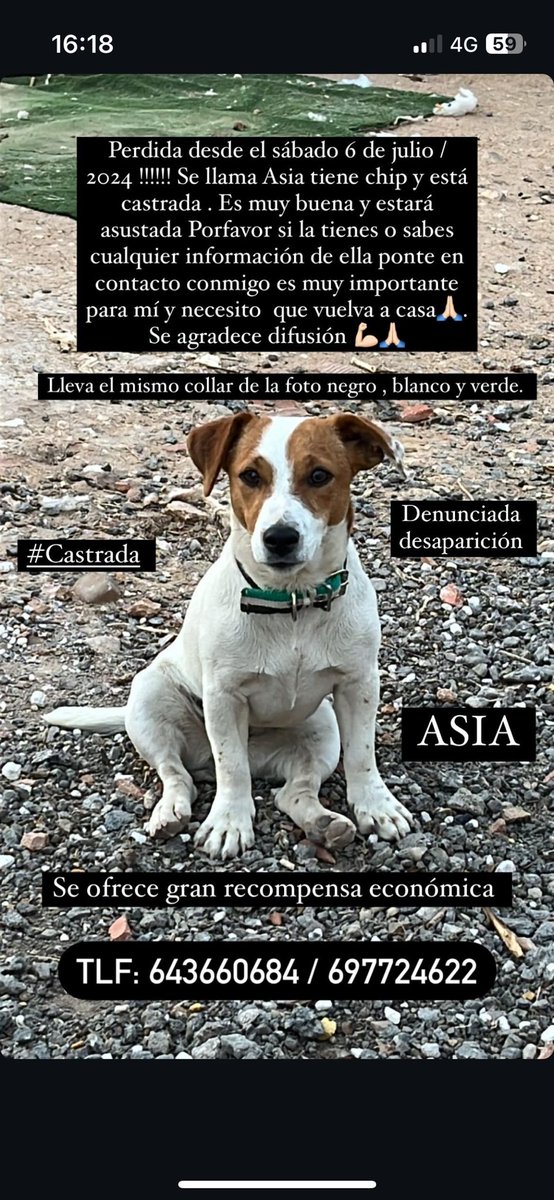 Perdida en la zona de Mejorada del Campo, Madrid.