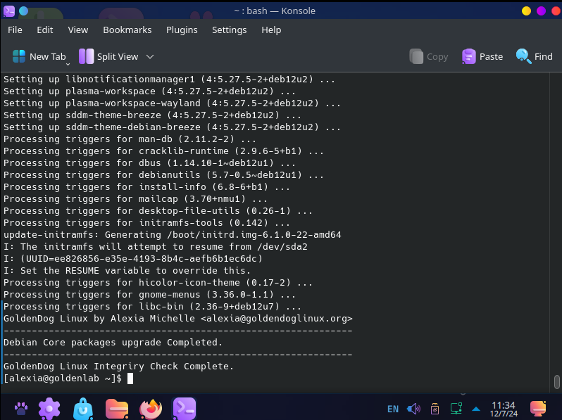 A partir de la version 1.6.19 GoldenDog realiza un integrity check cada vez que se actualiza el sistema. Esto es sumamente util para asegurarse que todo esta en coexistencia armoniosa con todo lo demas. 

Estoy trabajando muchisimo en este proyecto. Muy feliz!!