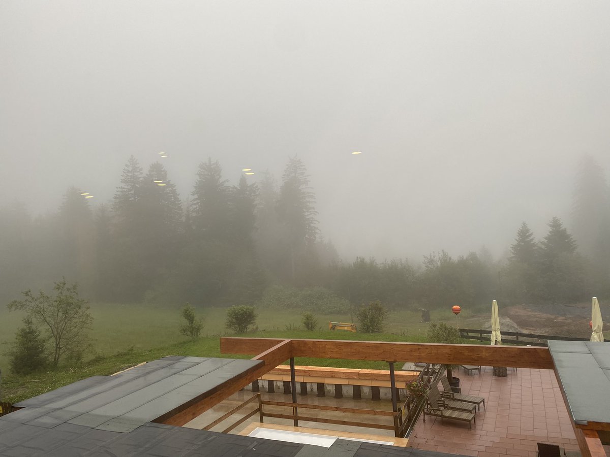 Thomas Kraft tweet media