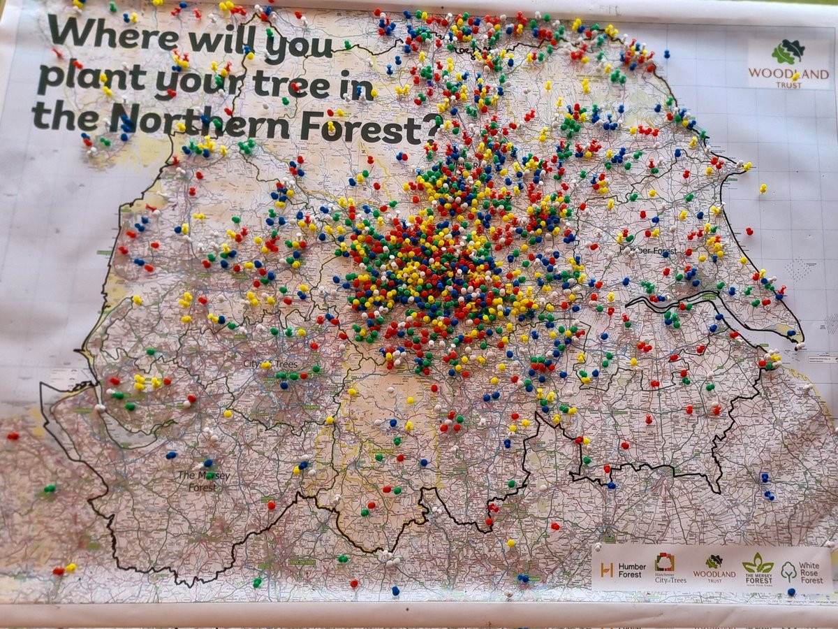 WT_PaulMos's tweet image. All 3000 trees now heading out from the @greatyorkshow and planted across the #NorthernForest thanks to everyone for their support and to @WoodlandTrust staff and volunteers who helped.