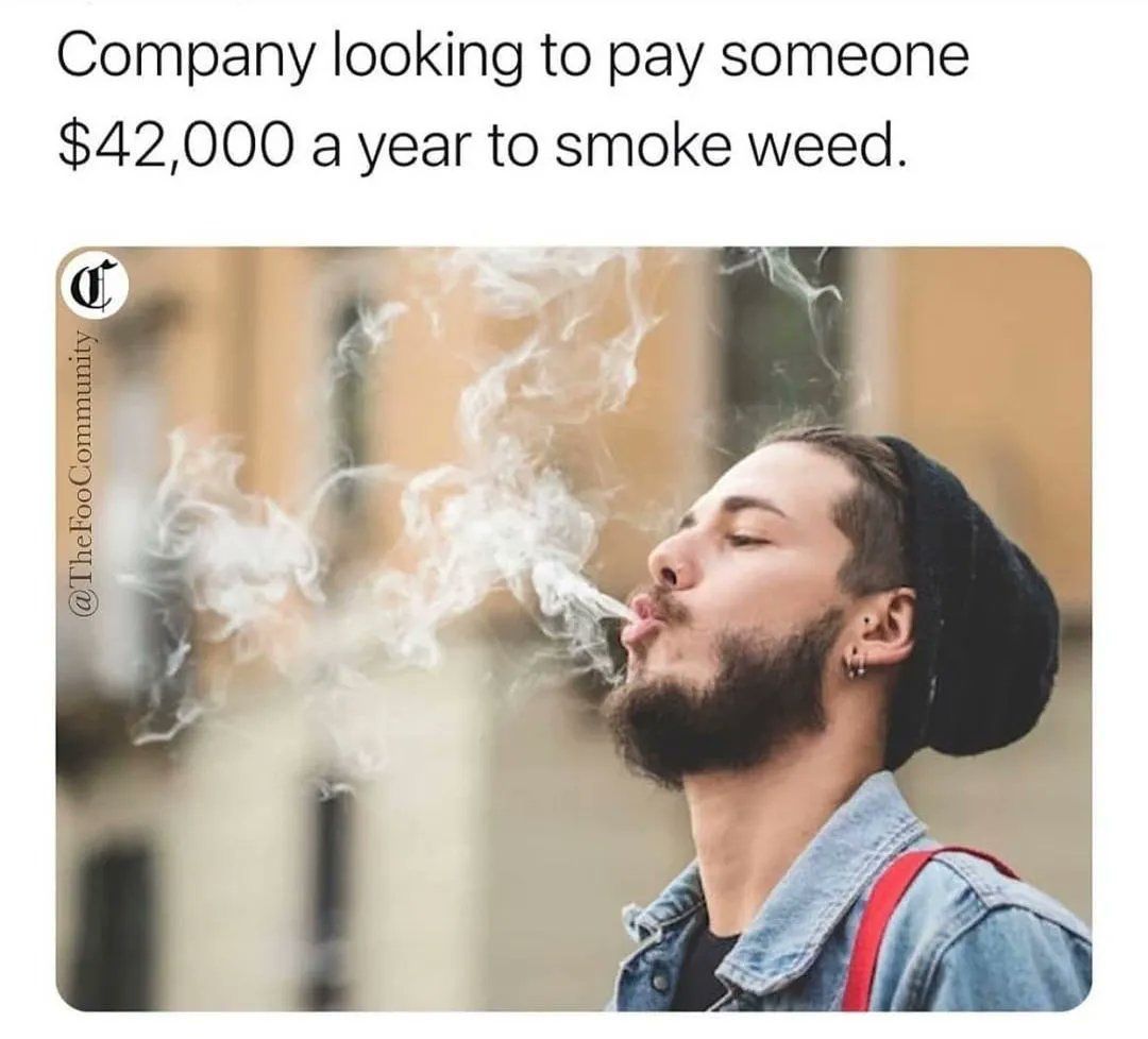 Zito 🐐💨🎖️ tweet media