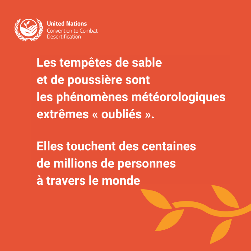 ONU_fr's tweet photo. Les tempêtes de sable &amp; de poussière sont fréquentes dans les régions arides et semi-arides, mais ont un impact global.

La #SDSDay souligne la nécessité d'une action mondiale axée sur la collaboration &amp; la coopération pour prévenir et gérer ces tempêtes.
